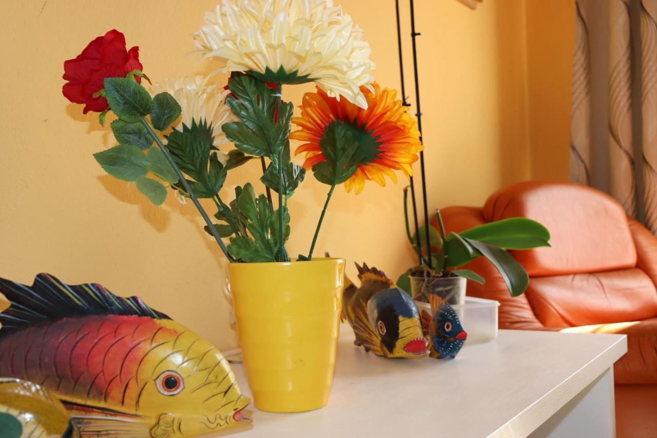 Appartamento Casa Andreea Vicino Al Centro Di Olbia Iun R5904 Esterno foto
